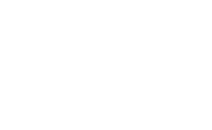 Vision Studios logo
